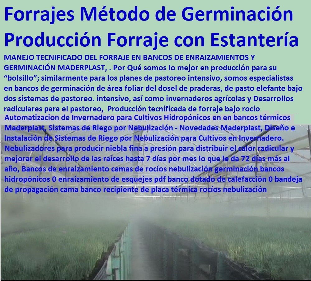 Producción tecnificada de forraje bajo rocio invernadero Maderplast camas germinación 0 Producción de Forraje en Estantería Maderplast 0 Forraje Para Ganado Bandejas y Estantes Maderplast 0 Pastos y Forrajes Método de Germinación Producción tecnificada de forraje bajo rocio invernadero Maderplast camas germinación 0 Producción de Forraje en Estantería Maderplast 0 Forraje Para Ganado Bandejas y Estantes Maderplast 0 Pastos y Forrajes Método de Germinación